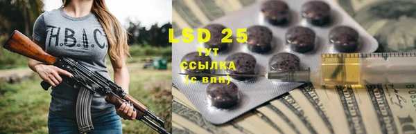 индика Рославль
