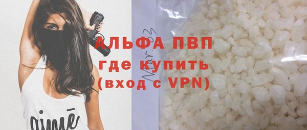 индика Рославль