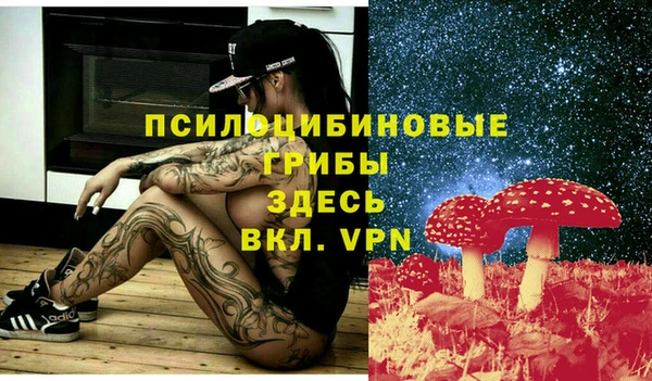 дурь Абаза