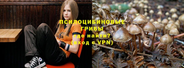 марихуана Абинск