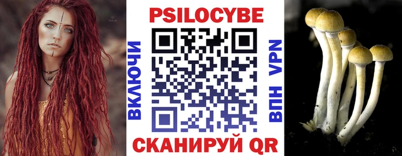 купить сайты Абдулино Псилоцибиновые грибы Psilocybine cubensis